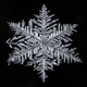 Image for article titled A photographer’s scientific approach to shooting snowflakes reveals stunning geometric variety